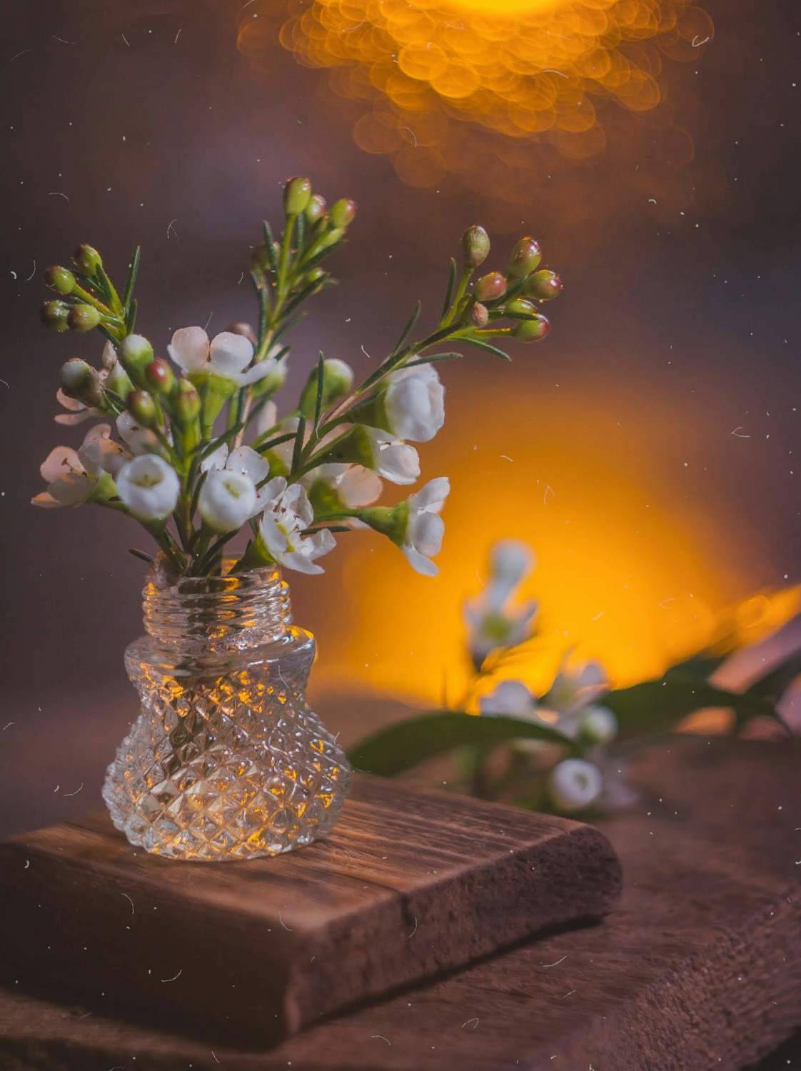 натюрморт, боке, прозрачный, закат, солнце, бутылка, цветы, стекло, красивый, прозрачный, блики, still life, Алла Семенова