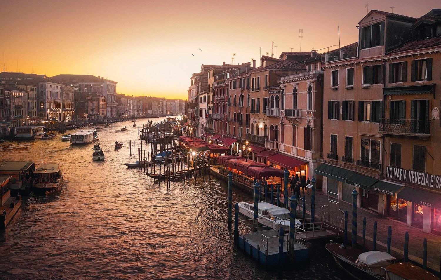 , Владимир Осауленко