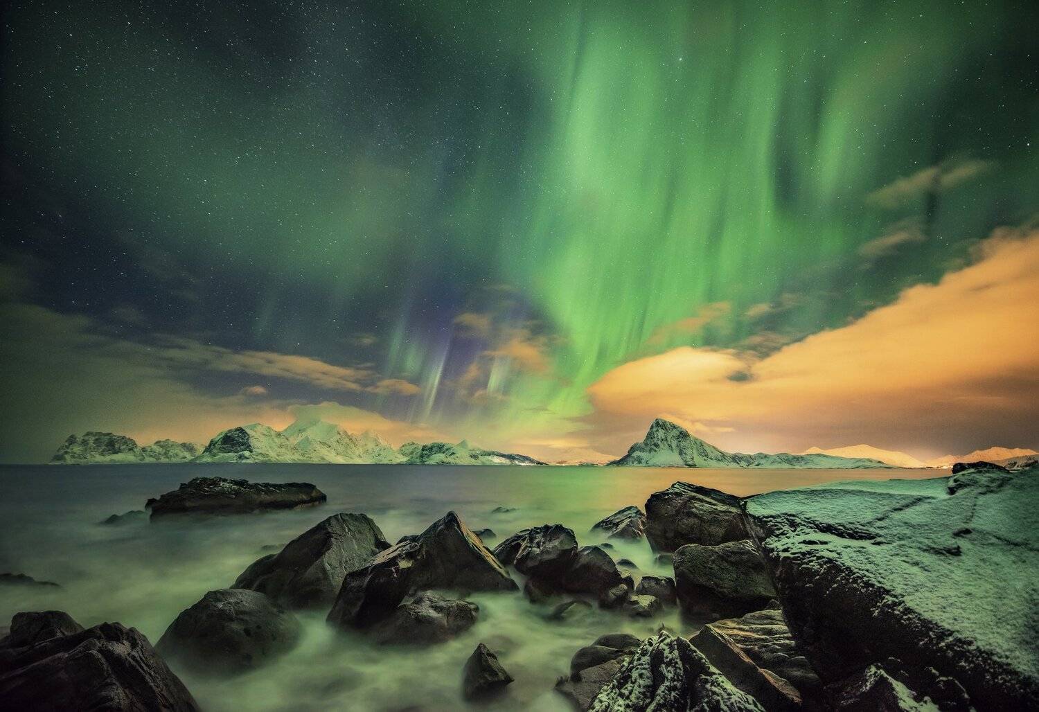 , Елена Ермолина