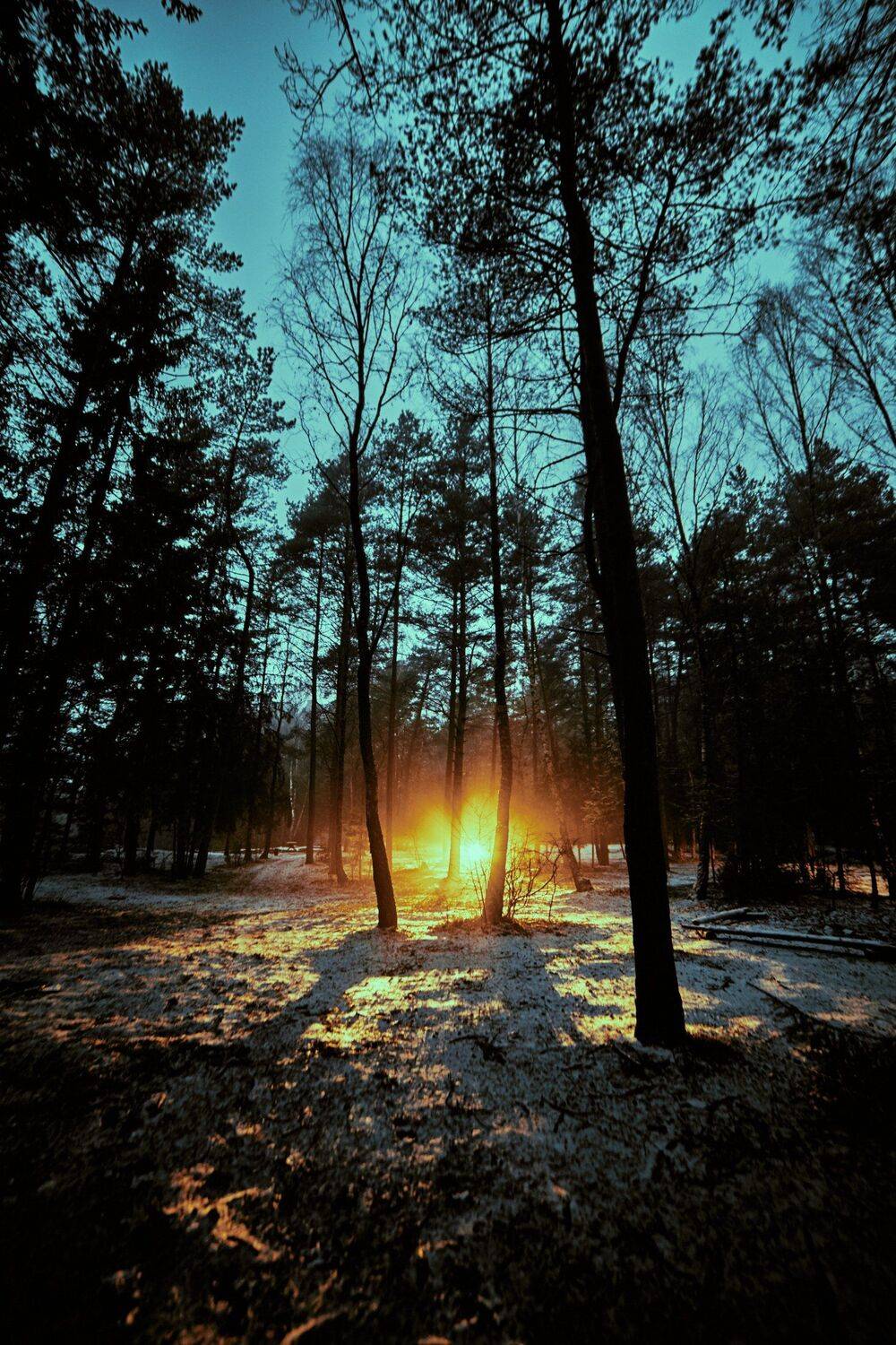 , Александр Фанковин