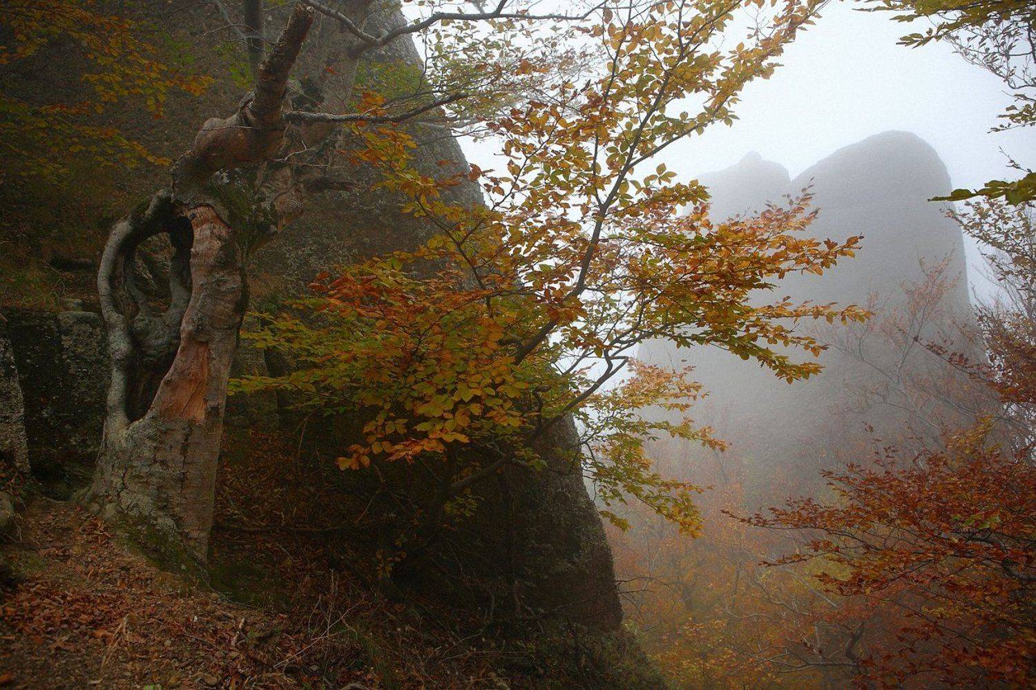 крым, горы, осень, демерджи, Лопухов Сергей