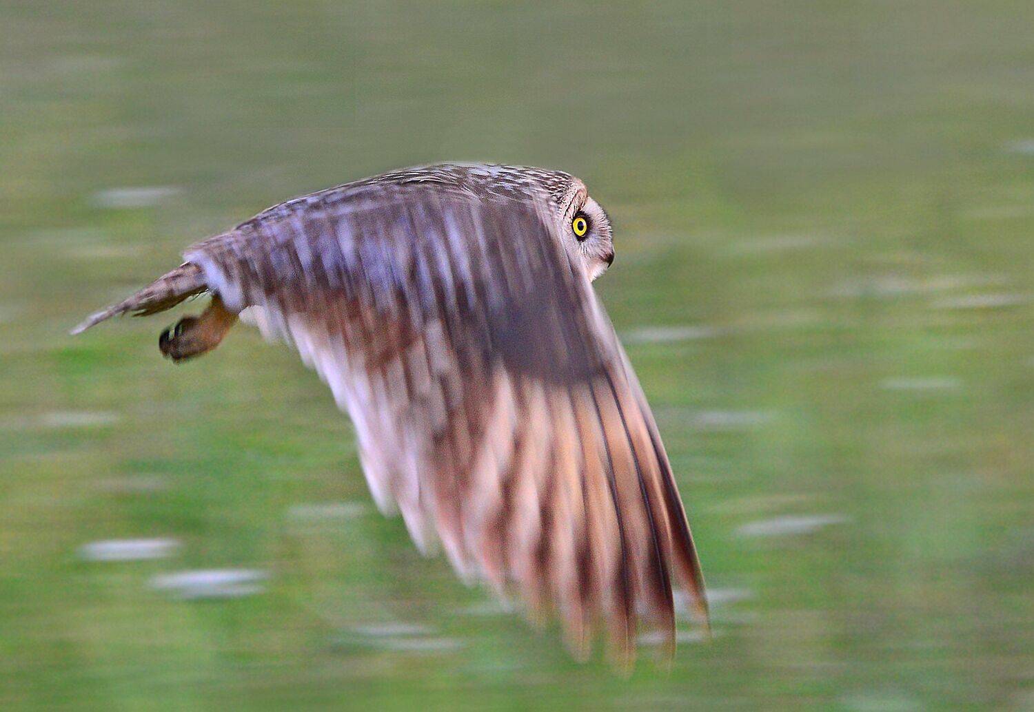 , Михаил Белоусов