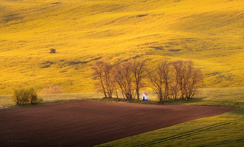Весна неизбежна...!