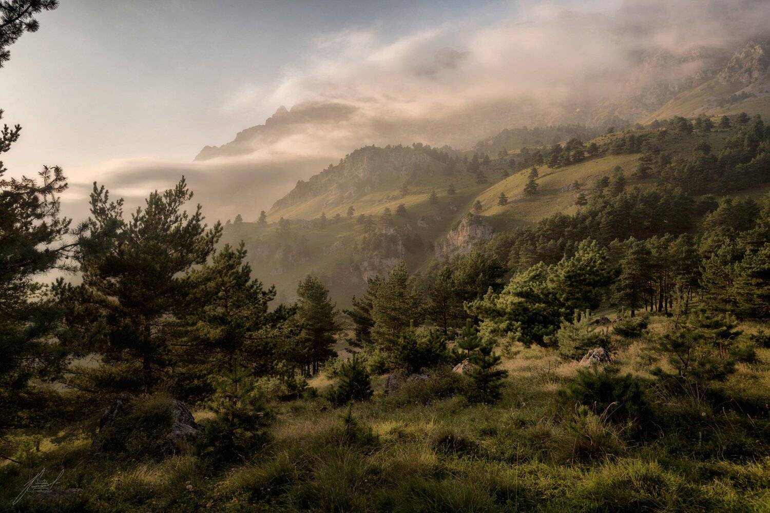 , Юрий Головченко