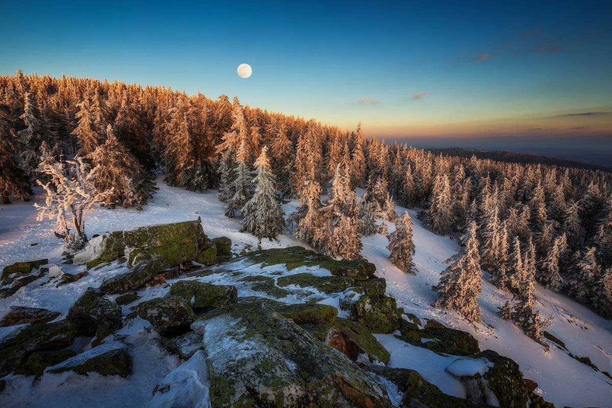 landscape, tree, sunset, Petr Fiala