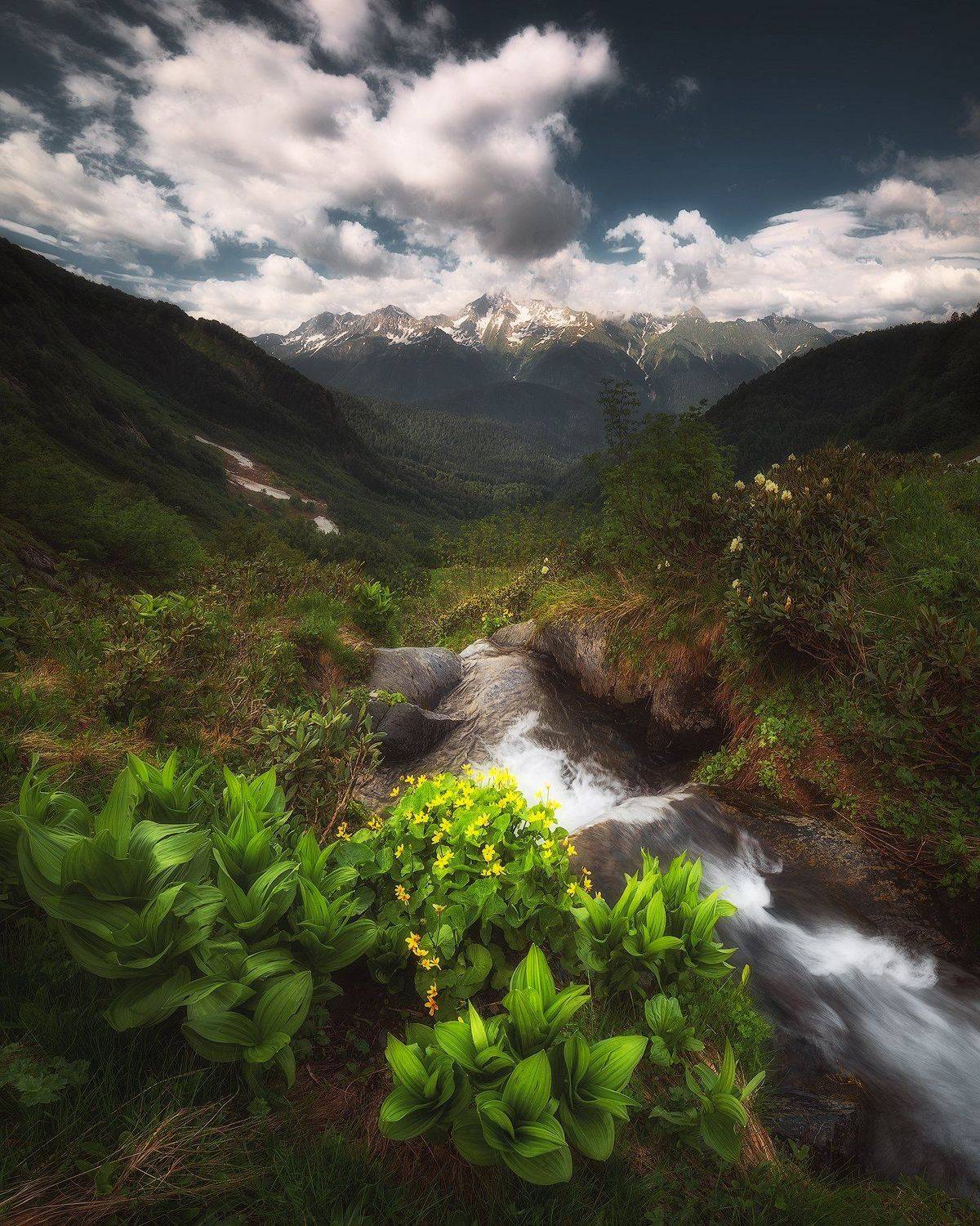 горная река, горы, лето, чемерица, пейзаж, кавказ, Tania Leschinskaya