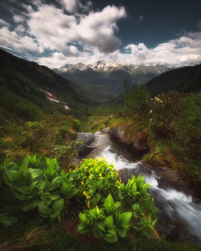 У истоков реки Ачипсе