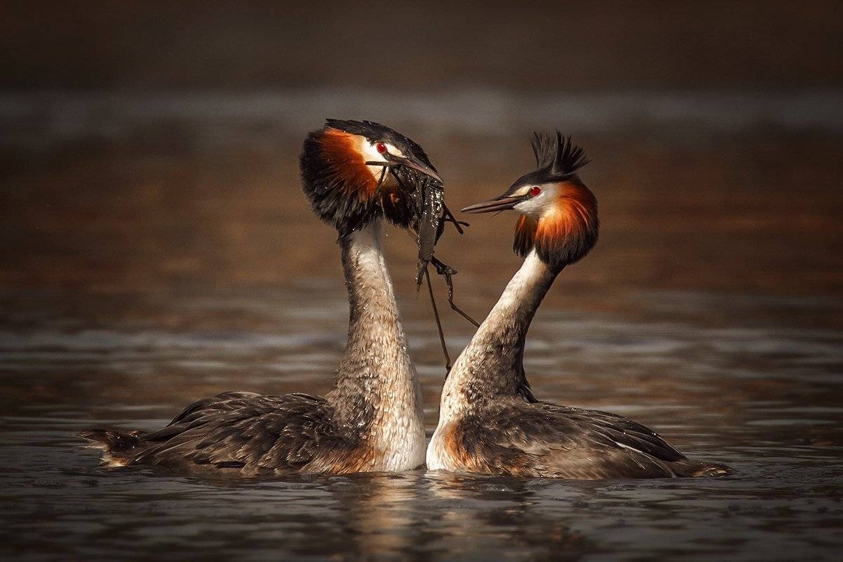 , Валерий Субачев