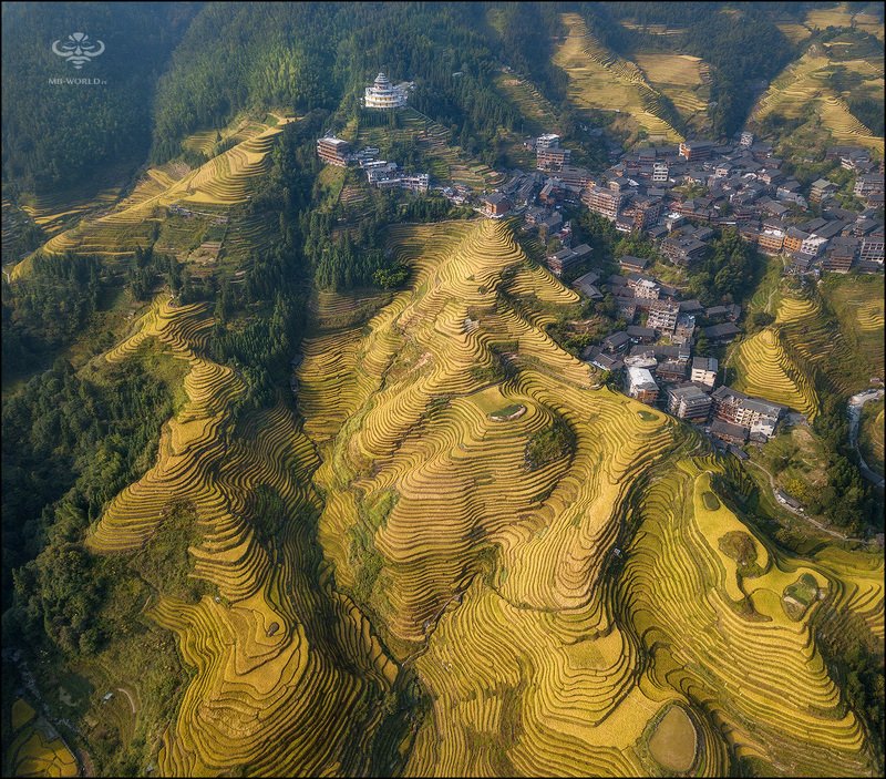 Китай, рисовые террасы, дрон,  Рисовые террасы Пинь Ан (Китай) фото превью