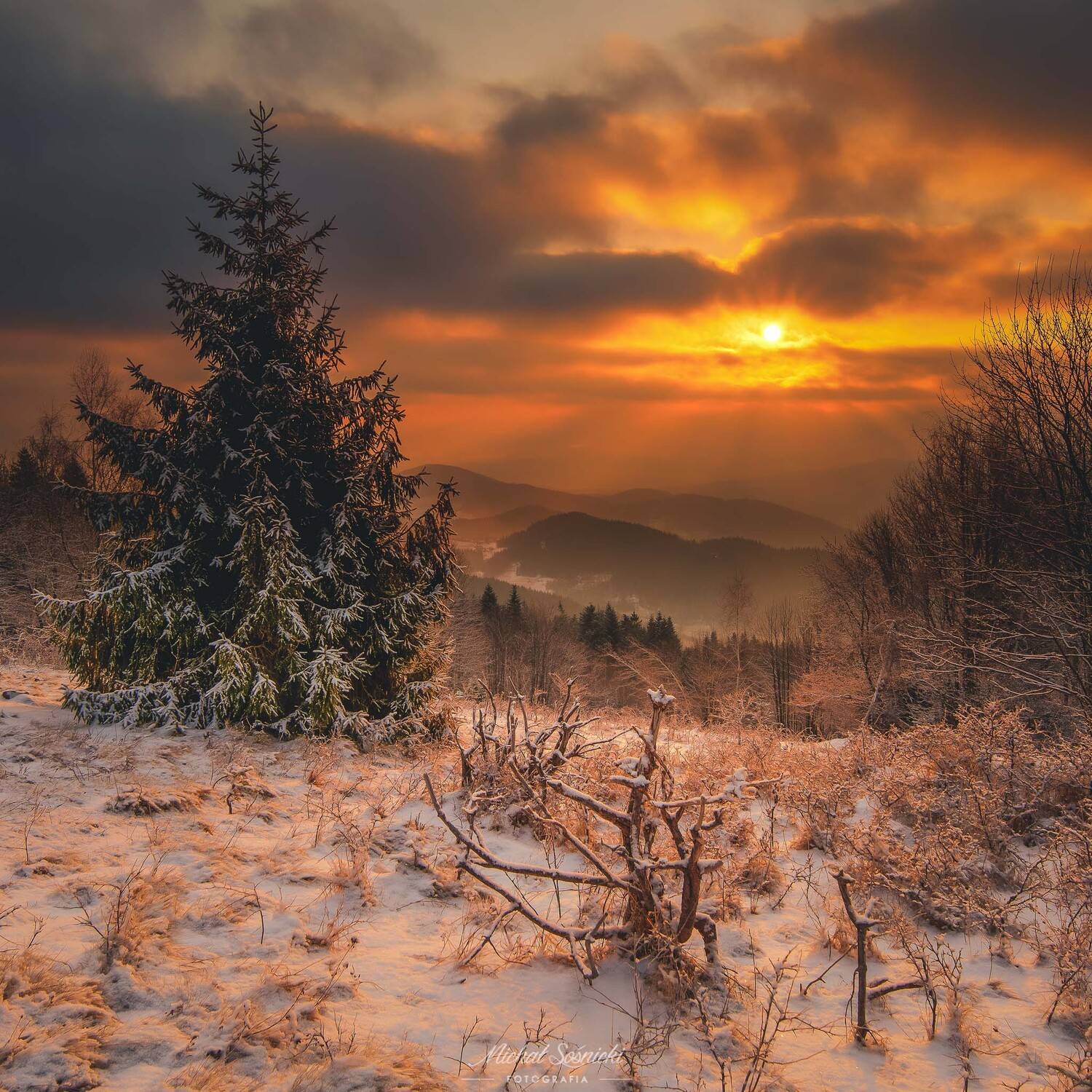 #tree #sun #sunrise #morning #poland #zawoja #pentax, Michał Sośnicki