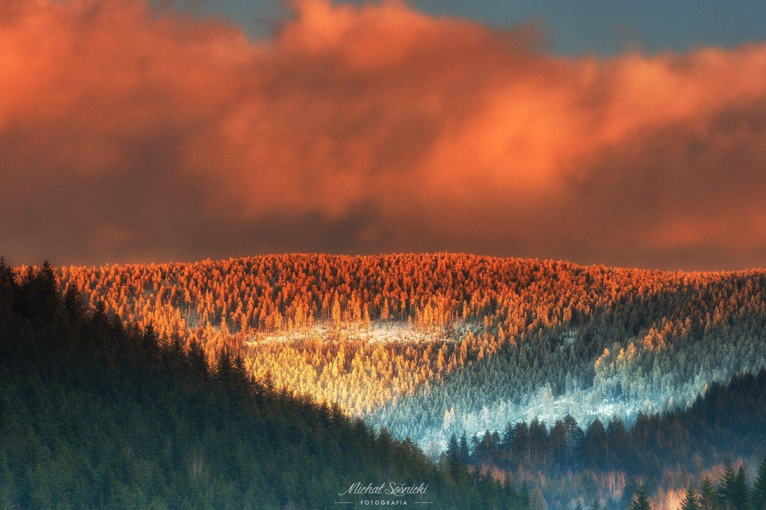 #tree #sun #sunrise #morning #poland #zawoja #pentax, Michał Sośnicki