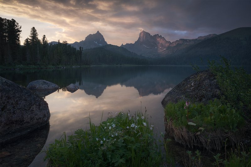 Star Bird фото превью