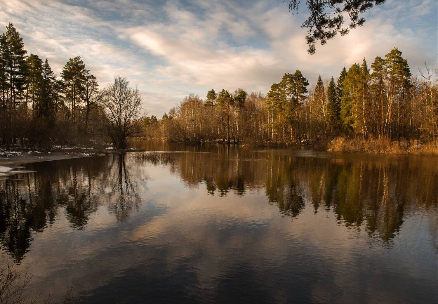 закат, пейзаж, река, керженец,  landscape, sunset, Андрей Грибов