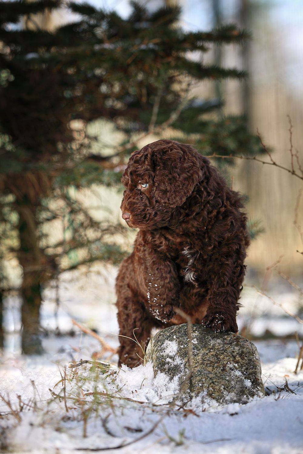 , Наталия Поникарова