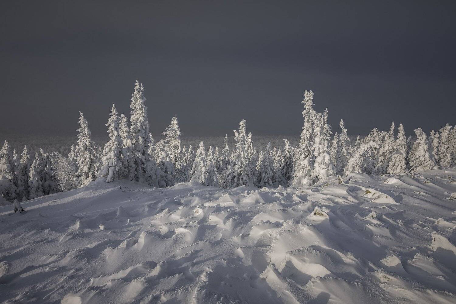 , Андрей Шарапов