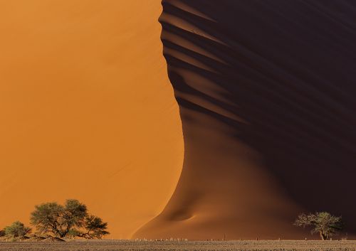 Namibia Deadvlei