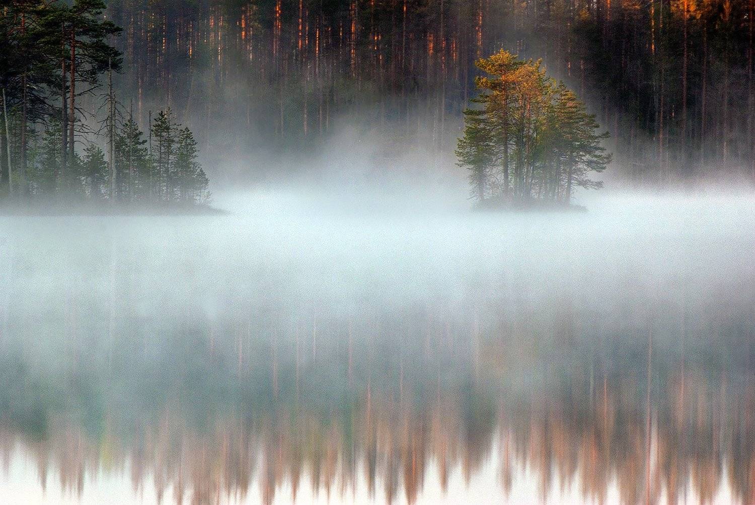 карелия, Виктор