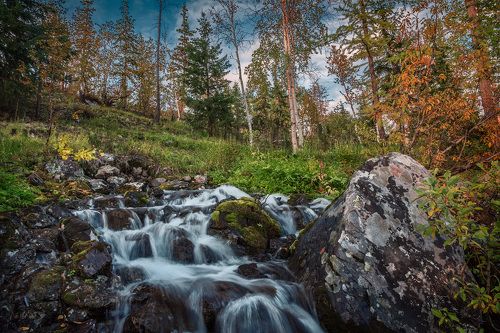 Таймыр осенний