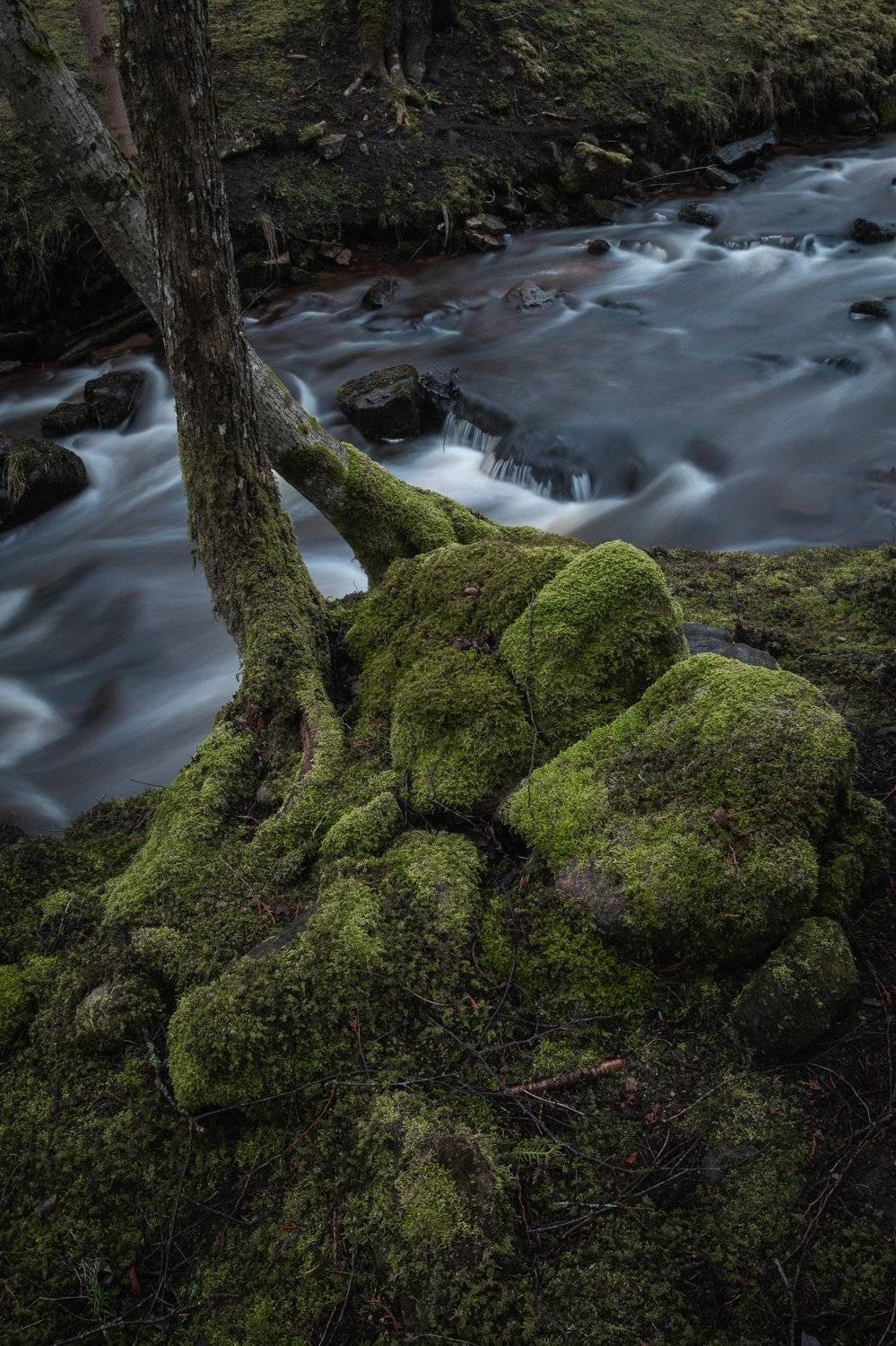 , Дмитрий Рябцев