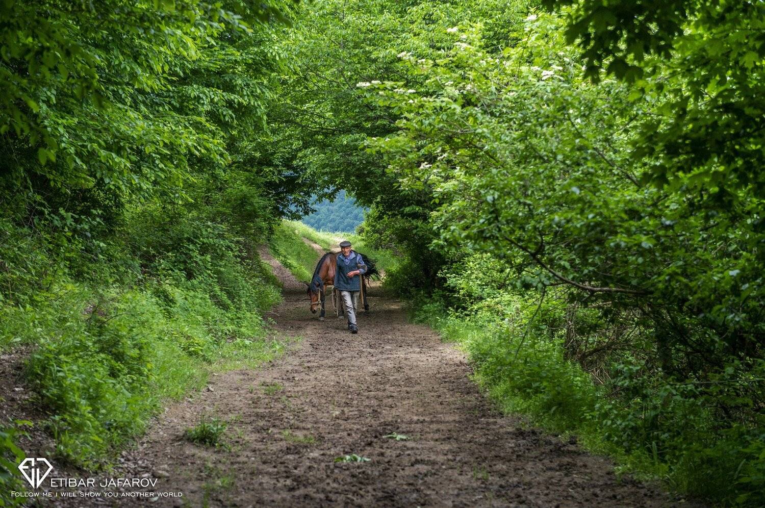 azerbaijan, Gadabay , Etibar Jafarov