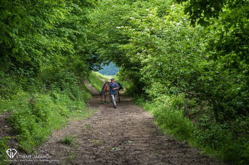 Azerbaijan , Gadabay 
