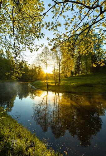 Весенняя листва