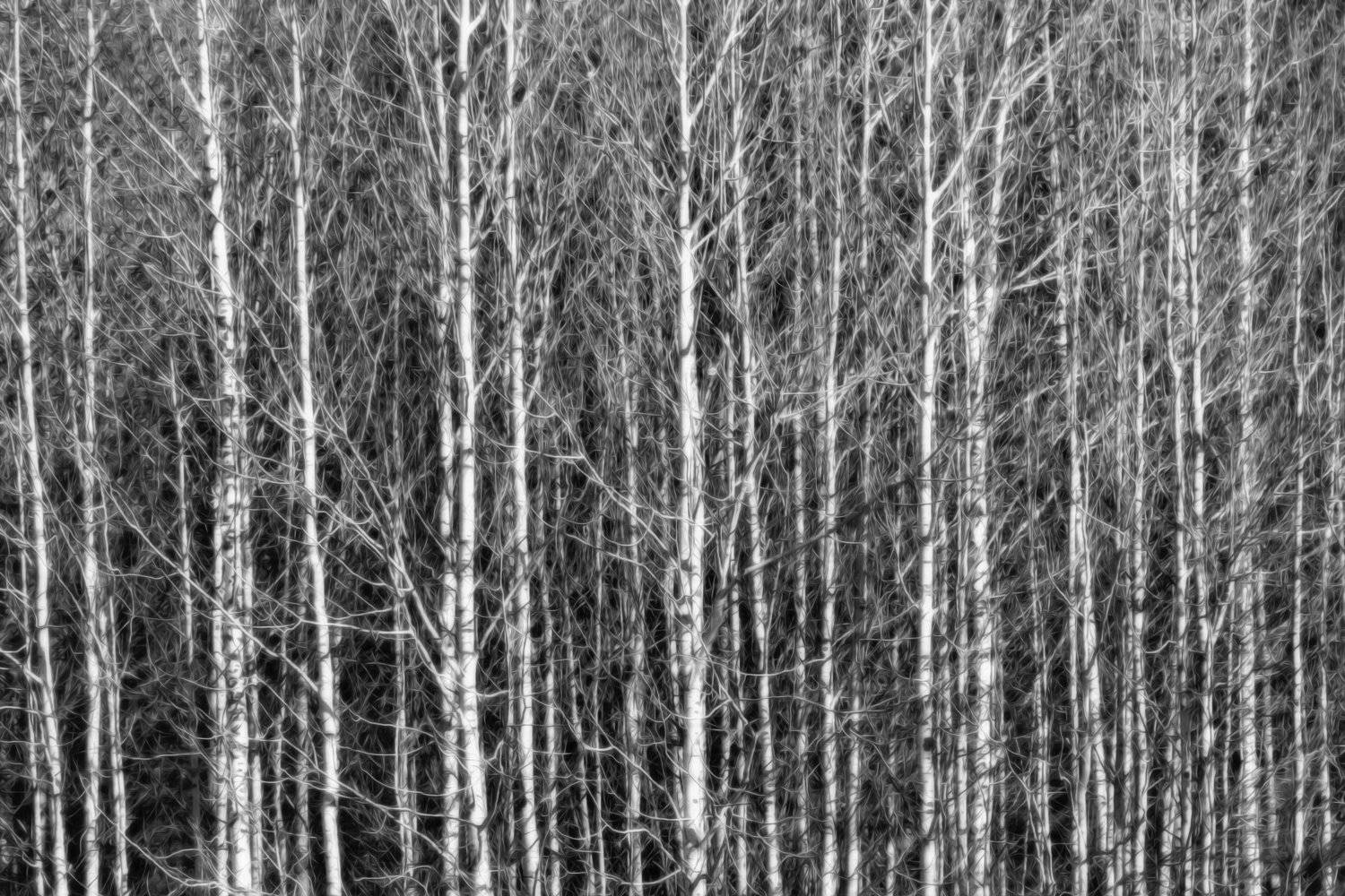 , Гагик Мхитарян