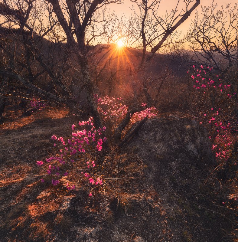 ,,Закат в Долине Атлантов,, фото превью