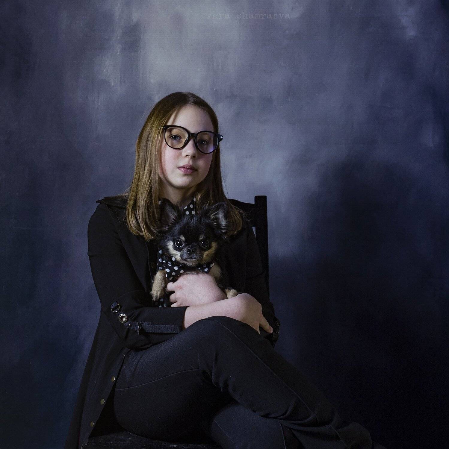 чихуахуа детский портрет, Вера Шамраева
