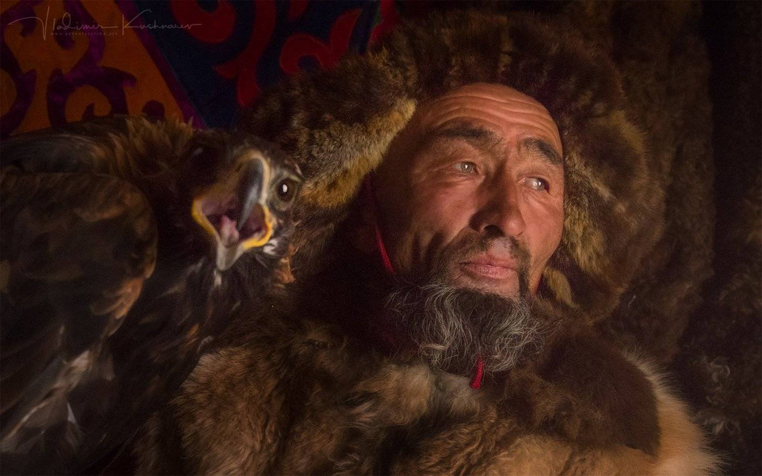 , Vladimir Kushnarev