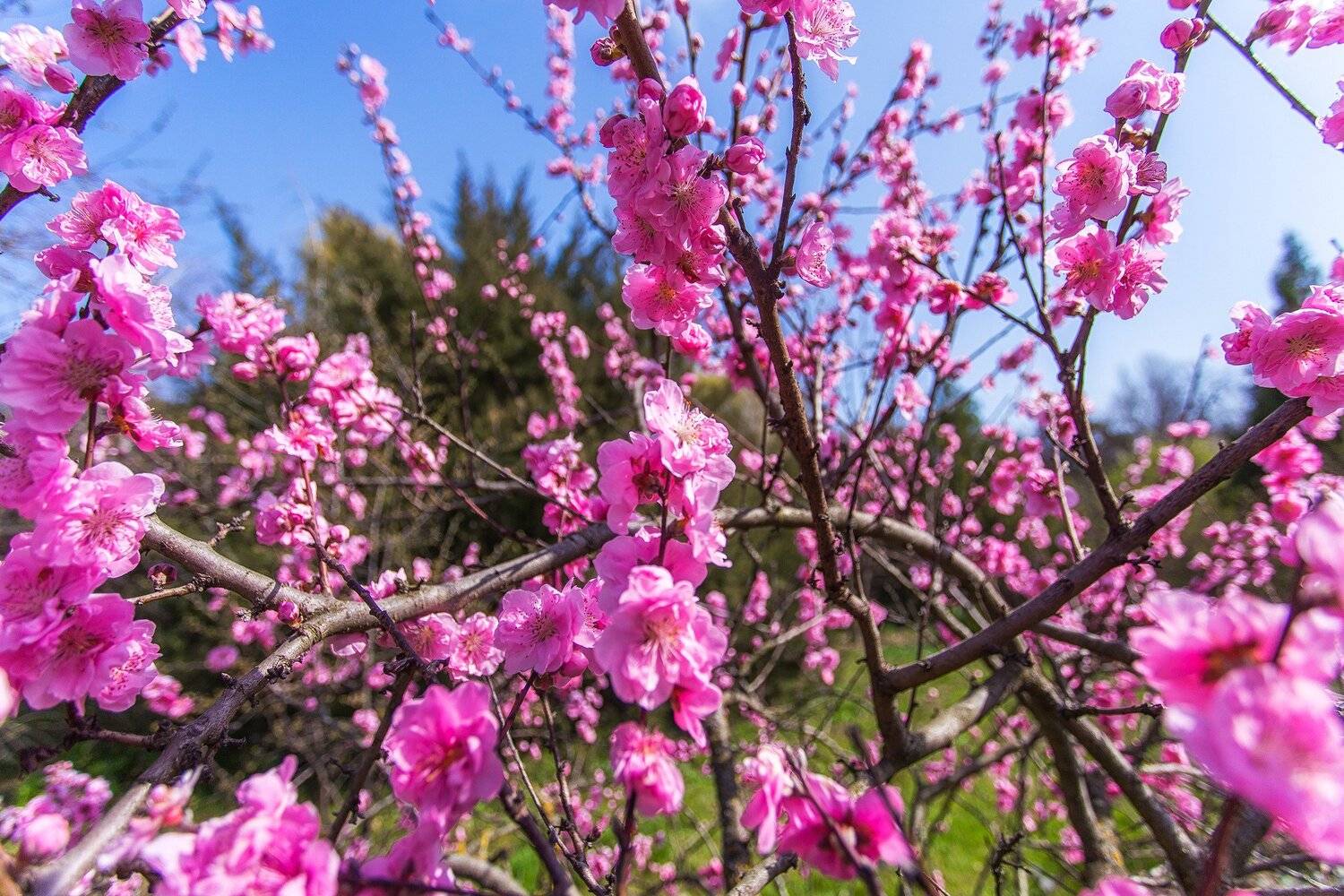 , Павел Сагайдак