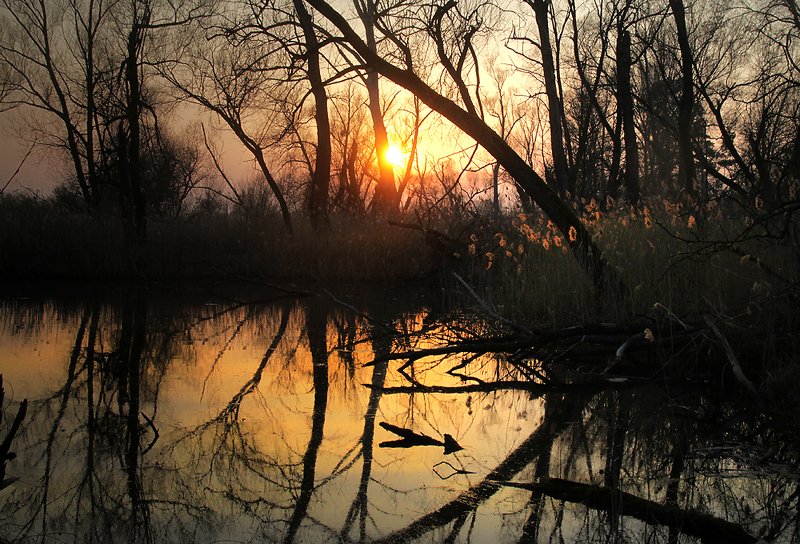 ... фото превью