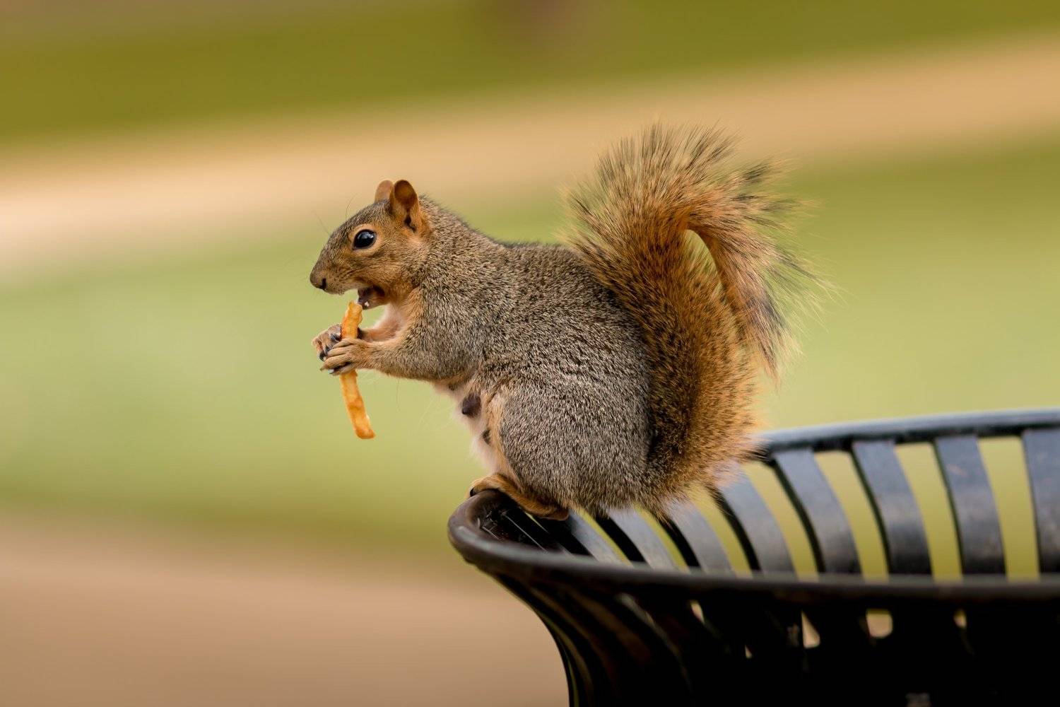 , Илья Данилов