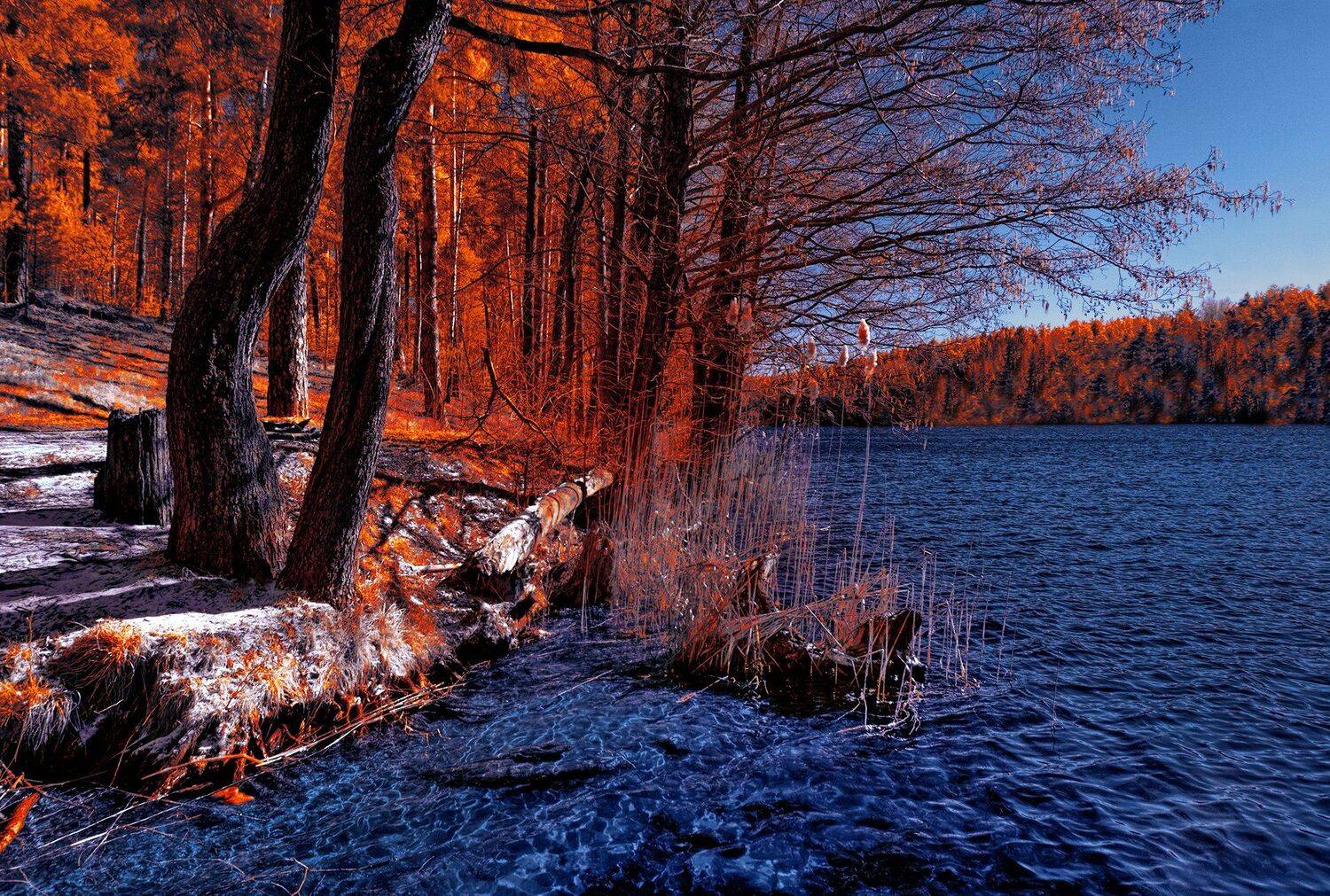 infrared,ик-фото,инфракрасное фото, инфракрасная фотография, пейзаж, весна, Sixten ( Сергей )