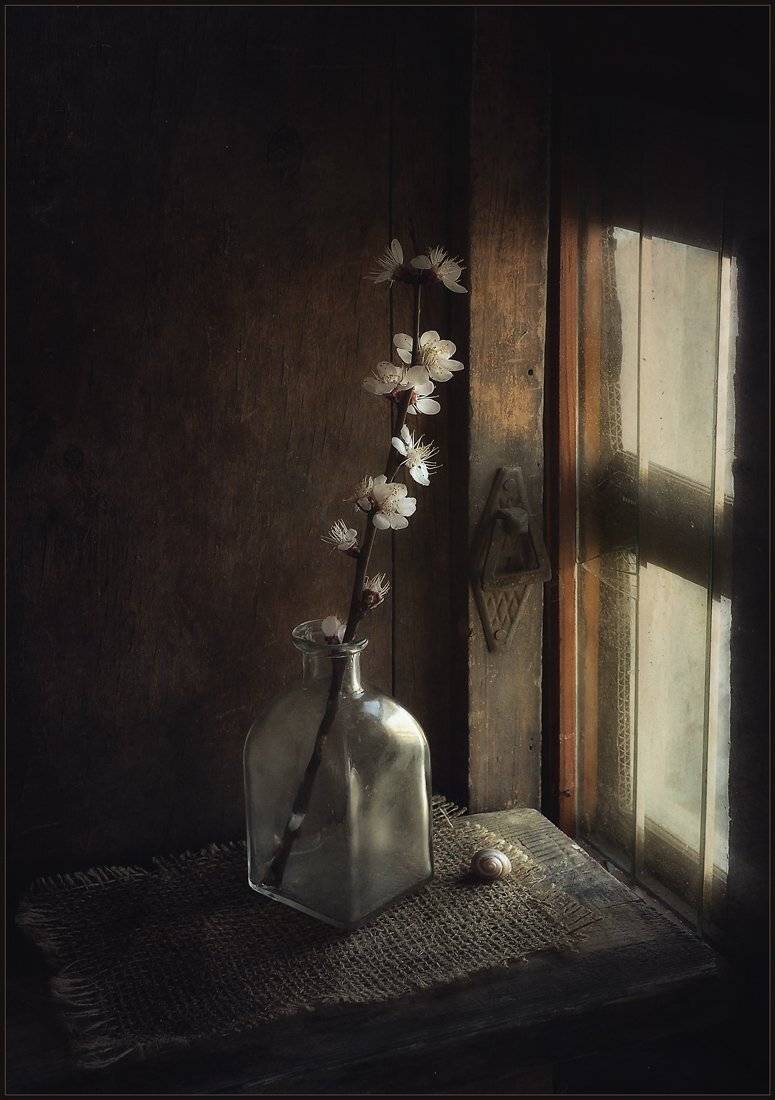 , Александр Хромеев