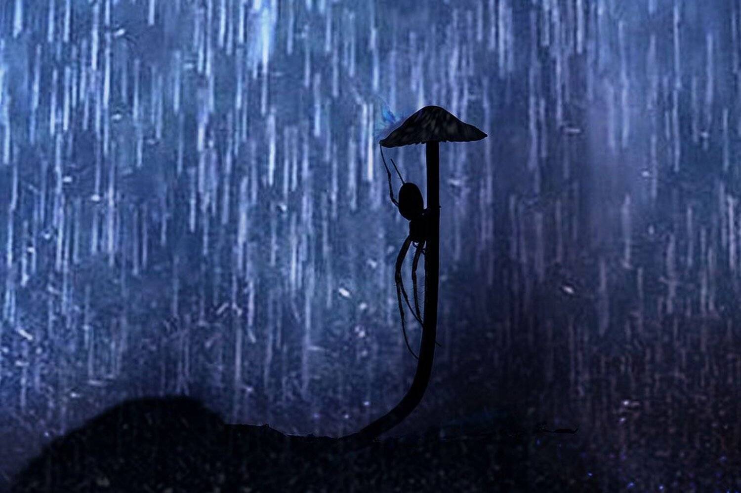 , Евгений Лукашук