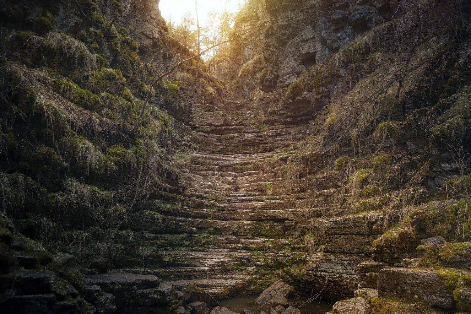 , Андрей Шарапов