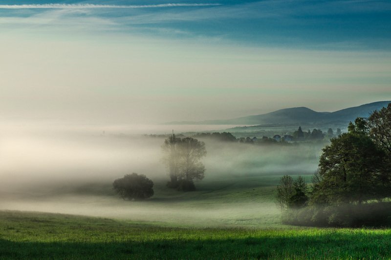 туман | Nebel фото превью