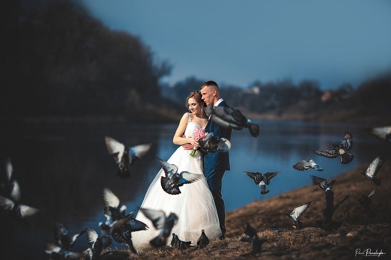 свадьба, молодожены, жених, невеста, помолейко, wedding, wed, newlywed, just married, bride, groom, professionalphotography, свадебный фотограф, осень, filmcolor, autumn, помолейко павел, pomoleyko pavel, bestweddingshots, artwedding, lookslikefilmwedding Счастье на двоих фото превью