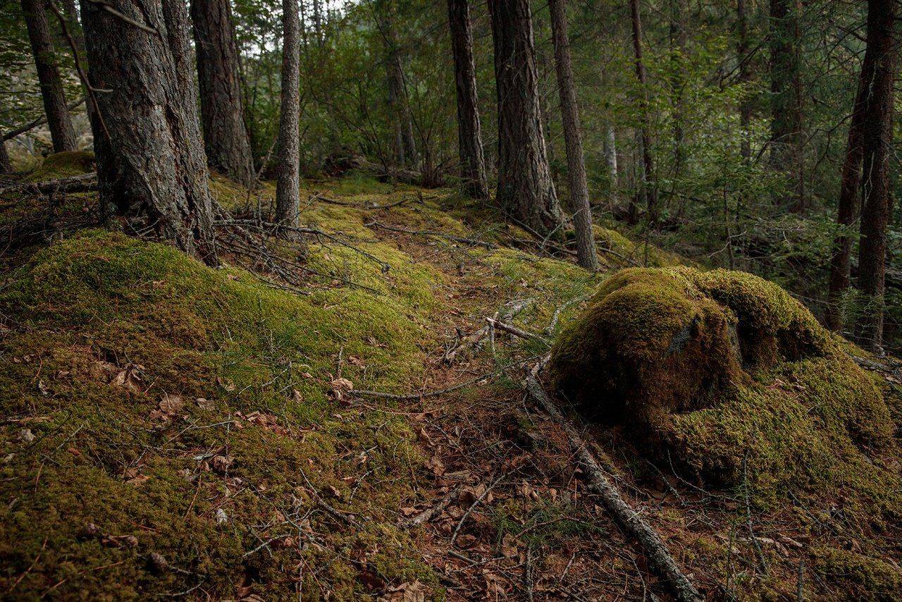 тува, республика тыва,  катазы, siberia, тайга, nerozya, russia, tuva, adventuretime, katazi, travel, exployer, russia, enisey, деревня, староверы, таёжники, Александр Нерозя
