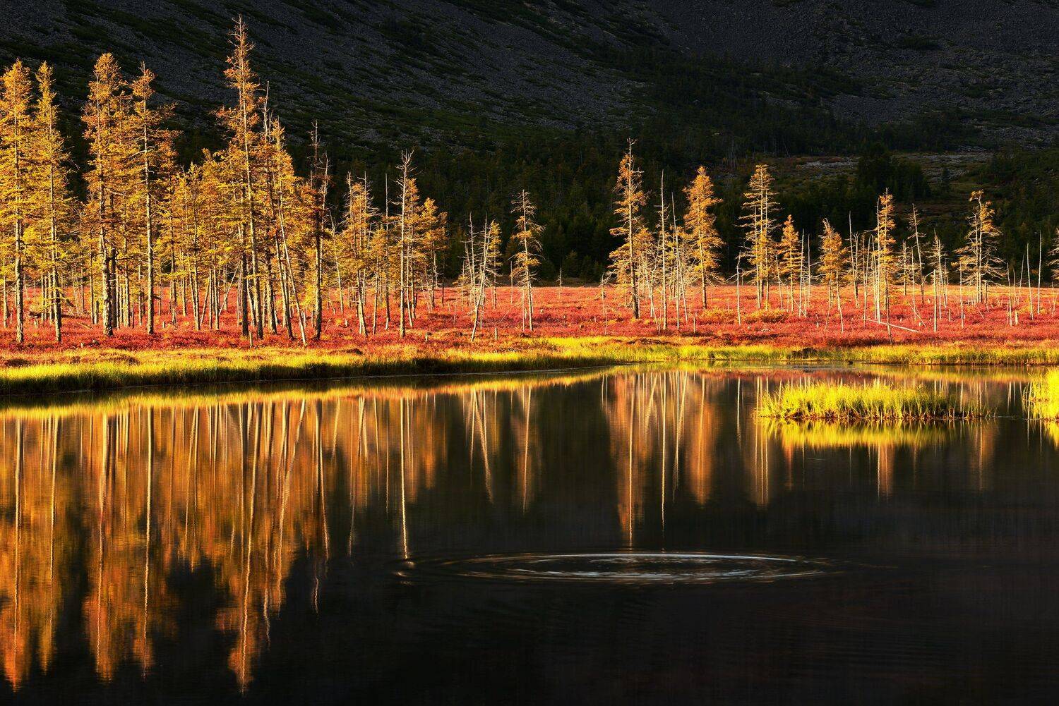 , Максим Евдокимов (phototourtravel.ru)