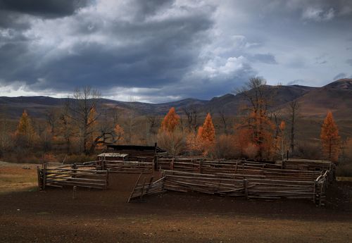 .. про жизнь на 
