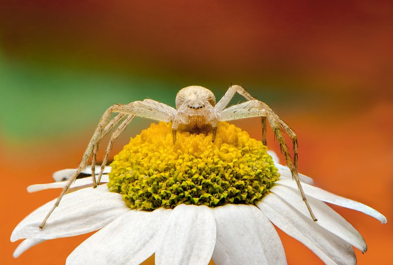 Греемся на солнышке фото превью