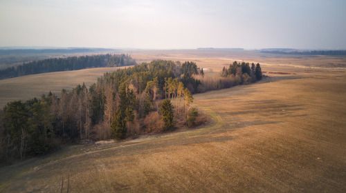 Март возле Фаниполи