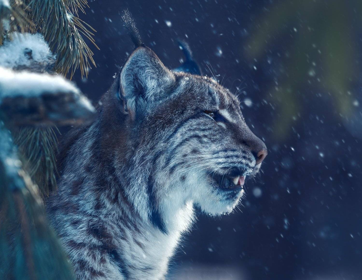 , Олег Богданов