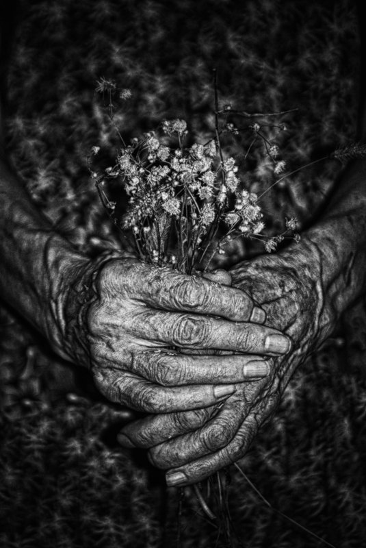 woman, old age, old woman, hands, flowers, женщина, старость, старуха, руки, цветы, conceptual, black and white,  концептуально, черно-белое I hide myself within my flower фото превью