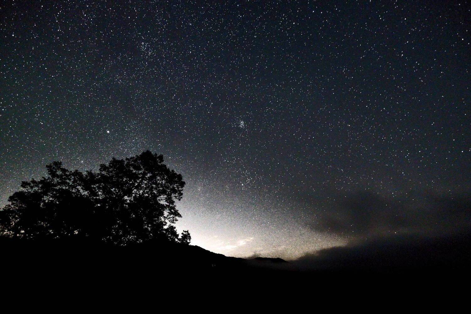 south korea,kangwondo,autumn, night, star, sky, shilouette, light, starry, dark, tree,, Shin