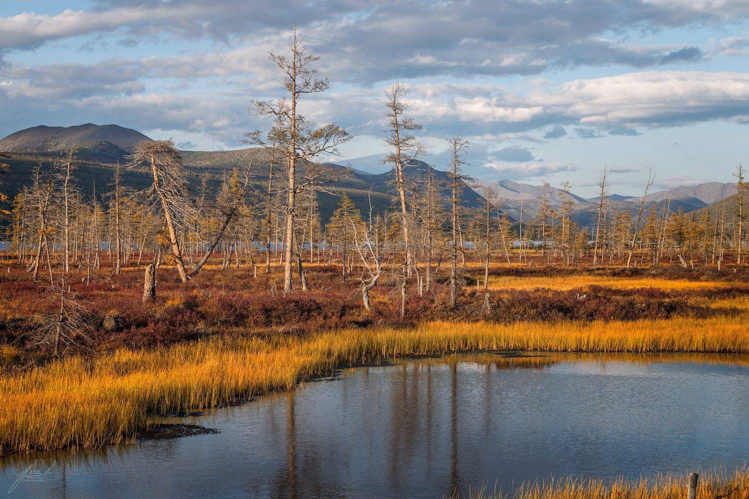 , Юрий Головченко