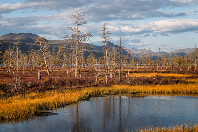 *** фото превью