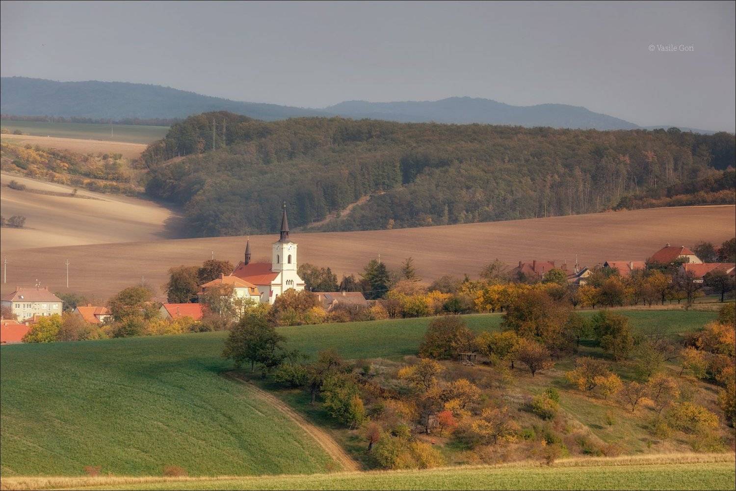 южная моравия,пейзаж,ветеров,линии,south moravian,lines,свет,czech,осень,чехия,landscapes,поле,деревня,лес, Василий Гори
